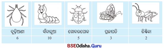 Class 6 Maths Chapter 4 Question Answer Odia Medium ତଥ୍ୟ ଉପସ୍ଥାପନା ଓ ପରିଚାଳନା Page 93 Q1