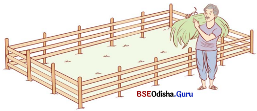 Class 6 Maths Chapter 6 Question Answer Odia Medium ପରିସୀମା ଓ କ୍ଷେତ୍ରଫଳ Page 132 Q6