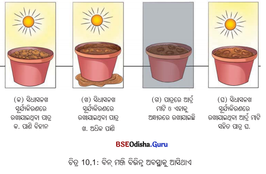 Class 6 Science Chapter 10 Notes Odia Medium ଜୀବଜଗତର ବୈଶିଷ୍ଟ୍ୟ 1