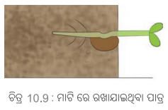 Class 6 Science Chapter 10 Question Answer Odia Medium ଜୀବଜଗତର ବୈଶିଷ୍ଟ୍ୟ 2