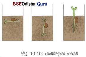 Class 6 Science Chapter 10 Question Answer Odia Medium ଜୀବଜଗତର ବୈଶିଷ୍ଟ୍ୟ 3