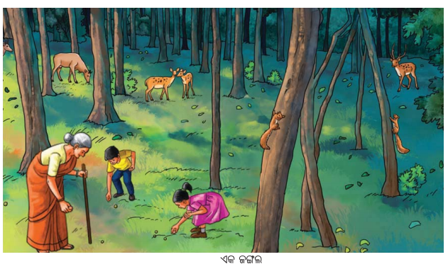 Class 6 Science Chapter 11 Notes Odia Medium ପ୍ରାକୃତିକ ସମ୍ପଦ 5