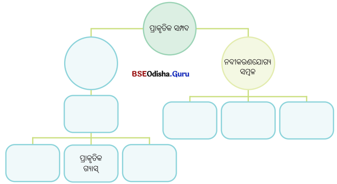 Class 6 Science Chapter 11 Question Answer Odia Medium ପ୍ରାକୃତିକ ସମ୍ପଦ 4