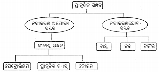 Class 6 Science Chapter 11 Question Answer Odia Medium ପ୍ରାକୃତିକ ସମ୍ପଦ 5