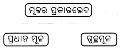 Class 6 Science Chapter 2 Notes Odia Medium ଜୀବଜଗତର ବିବିଧତା 12