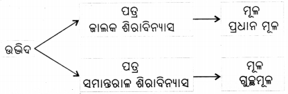 Class 6 Science Chapter 2 Notes Odia Medium ଜୀବଜଗତର ବିବିଧତା 14