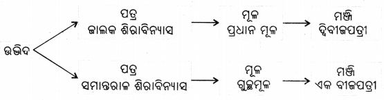 Class 6 Science Chapter 2 Notes Odia Medium ଜୀବଜଗତର ବିବିଧତା 16