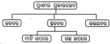 Class 6 Science Chapter 2 Notes Odia Medium ଜୀବଜଗତର ବିବିଧତା 2
