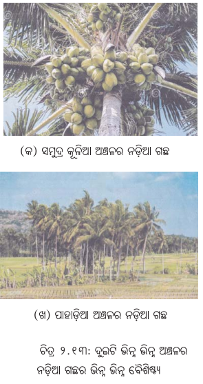 Class 6 Science Chapter 2 Notes Odia Medium ଜୀବଜଗତର ବିବିଧତା 21