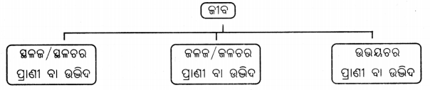 Class 6 Science Chapter 2 Notes Odia Medium ଜୀବଜଗତର ବିବିଧତା 23