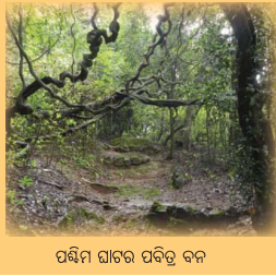 Class 6 Science Chapter 2 Notes Odia Medium ଜୀବଜଗତର ବିବିଧତା 25