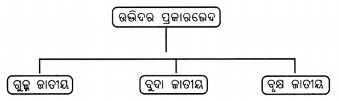 Class 6 Science Chapter 2 Notes Odia Medium ଜୀବଜଗତର ବିବିଧତା 5
