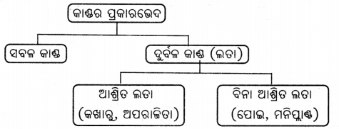Class 6 Science Chapter 2 Notes Odia Medium ଜୀବଜଗତର ବିବିଧତା 9