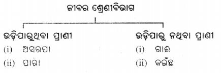 Class 6 Science Chapter 2 Question Answer Odia Medium ଜୀବଜଗତର ବିବିଧତା 6
