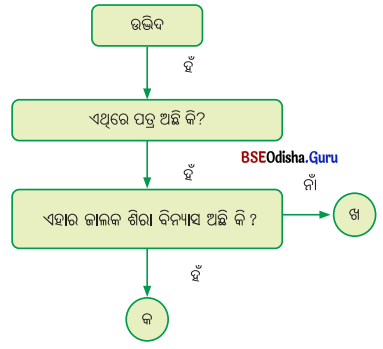 Class 6 Science Chapter 2 Question Answer Odia Medium ଜୀବଜଗତର ବିବିଧତା 7