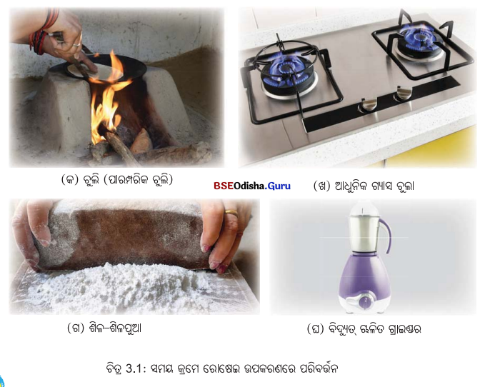 Class 6 Science Chapter 3 Notes Odia Medium ସୁଷମ ଖାଦ୍ୟ ସୁସ୍ଥ ଶରୀରର ଉପାୟ 1