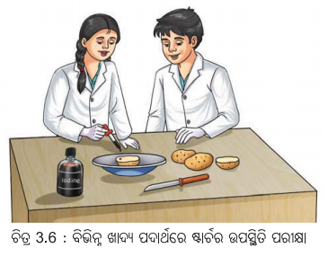 Class 6 Science Chapter 3 Notes Odia Medium ସୁଷମ ଖାଦ୍ୟ ସୁସ୍ଥ ଶରୀରର ଉପାୟ 11