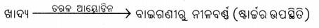 Class 6 Science Chapter 3 Notes Odia Medium ସୁଷମ ଖାଦ୍ୟ ସୁସ୍ଥ ଶରୀରର ଉପାୟ 12