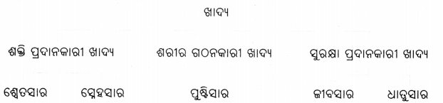 Class 6 Science Chapter 3 Notes Odia Medium ସୁଷମ ଖାଦ୍ୟ ସୁସ୍ଥ ଶରୀରର ଉପାୟ 2