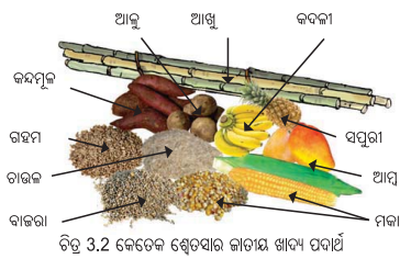 Class 6 Science Chapter 3 Notes Odia Medium ସୁଷମ ଖାଦ୍ୟ ସୁସ୍ଥ ଶରୀରର ଉପାୟ 4