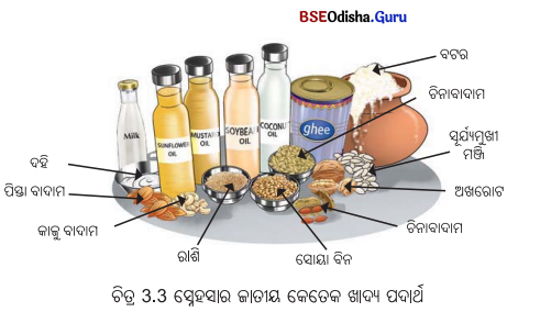 Class 6 Science Chapter 3 Notes Odia Medium ସୁଷମ ଖାଦ୍ୟ ସୁସ୍ଥ ଶରୀରର ଉପାୟ 5