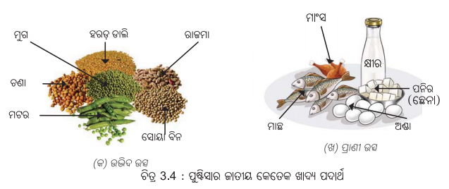 Class 6 Science Chapter 3 Notes Odia Medium ସୁଷମ ଖାଦ୍ୟ ସୁସ୍ଥ ଶରୀରର ଉପାୟ 6