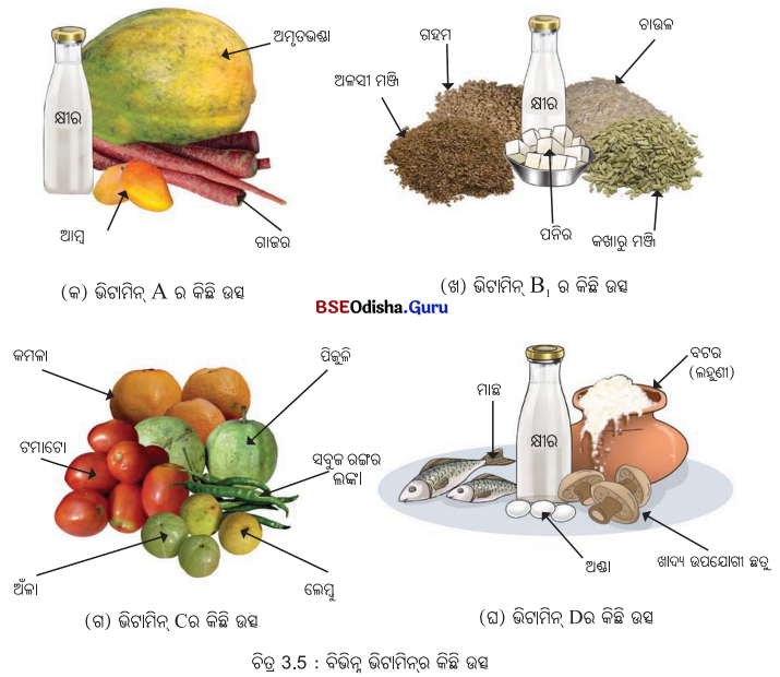 Class 6 Science Chapter 3 Notes Odia Medium ସୁଷମ ଖାଦ୍ୟ ସୁସ୍ଥ ଶରୀରର ଉପାୟ 9