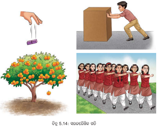 Class 6 Science Chapter 5 Notes Odia Medium ଦୈର୍ଘ୍ୟ ମାପ ଏବଂ ଗତି 13