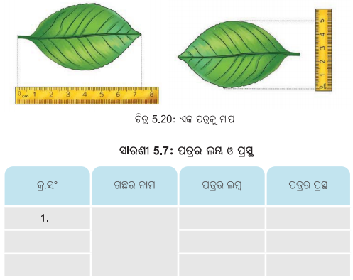 Class 6 Science Chapter 5 Question Answer Odia Medium ଦୈର୍ଘ୍ୟ ମାପ ଏବଂ ଗତି 5