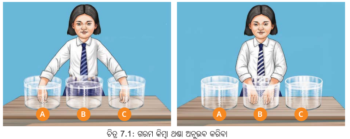 Class 6 Science Chapter 7 Notes Odia Medium ତାପମାତ୍ରା ଏବଂ ଏହାର ମାପ 1