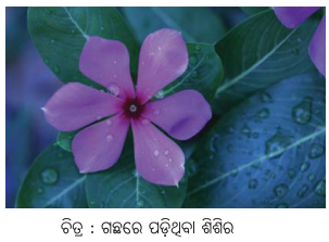 Class 6 Science Chapter 8 Notes Odia Medium ଜଳର ବିଭିନ୍ନ ଅବସ୍ଥା 3