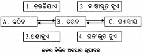 Class 6 Science Chapter 8 Notes Odia Medium ଜଳର ବିଭିନ୍ନ ଅବସ୍ଥା 5