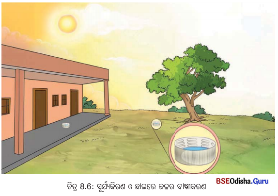 Class 6 Science Chapter 8 Notes Odia Medium ଜଳର ବିଭିନ୍ନ ଅବସ୍ଥା 6