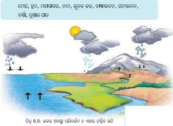Class 6 Science Chapter 8 Notes Odia Medium ଜଳର ବିଭିନ୍ନ ଅବସ୍ଥା 9