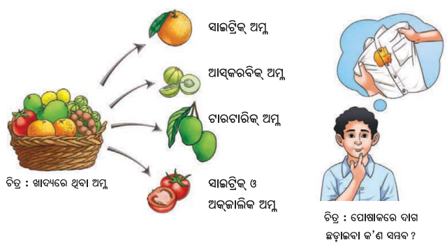 Class 7 Science Chapter 1 Notes Odia Medium ଚିର ବିକାଶଶୀଳ ବିଜ୍ଞାନ ଜଗତ 2