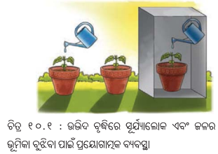 Class 7 Science Chapter 10 Notes Odia Medium ଉଦ୍ଭିଦରେ ଜୀବନ ପ୍ରକ୍ରିୟା 1