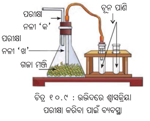 Class 7 Science Chapter 10 Notes Odia Medium ଉଦ୍ଭିଦରେ ଜୀବନ ପ୍ରକ୍ରିୟା 12