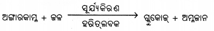 Class 7 Science Chapter 10 Notes Odia Medium ଉଦ୍ଭିଦରେ ଜୀବନ ପ୍ରକ୍ରିୟା 7