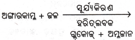 Class 7 Science Chapter 10 Question Answer Odia Medium ଉଦ୍ଭିଦରେ ଜୀବନ ପ୍ରକ୍ରିୟା 10