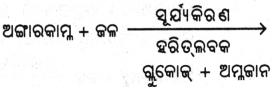 Class 7 Science Chapter 10 Question Answer Odia Medium ଉଦ୍ଭିଦରେ ଜୀବନ ପ୍ରକ୍ରିୟା 11