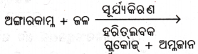 Class 7 Science Chapter 10 Question Answer Odia Medium ଉଦ୍ଭିଦରେ ଜୀବନ ପ୍ରକ୍ରିୟା 12