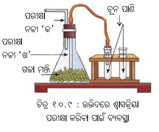 Class 7 Science Chapter 10 Question Answer Odia Medium ଉଦ୍ଭିଦରେ ଜୀବନ ପ୍ରକ୍ରିୟା 20