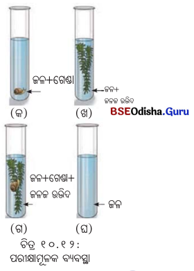 Class 7 Science Chapter 10 Question Answer Odia Medium ଉଦ୍ଭିଦରେ ଜୀବନ ପ୍ରକ୍ରିୟା 5