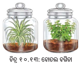 Class 7 Science Chapter 10 Question Answer Odia Medium ଉଦ୍ଭିଦରେ ଜୀବନ ପ୍ରକ୍ରିୟା 7