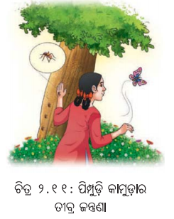 Class 7 Science Chapter 2 Notes Odia Medium ଅମ୍ଳୀୟ, କ୍ଷାରୀୟ ଓ ନିରପେକ୍ଷ ପଦାର୍ଥର ଅନୁସନ୍ଧାନ 12