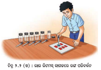 Class 7 Science Chapter 2 Notes Odia Medium ଅମ୍ଳୀୟ, କ୍ଷାରୀୟ ଓ ନିରପେକ୍ଷ ପଦାର୍ଥର ଅନୁସନ୍ଧାନ 3