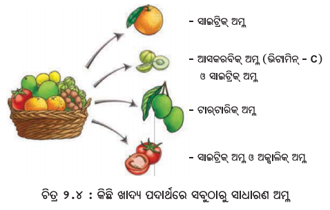 Class 7 Science Chapter 2 Notes Odia Medium ଅମ୍ଳୀୟ, କ୍ଷାରୀୟ ଓ ନିରପେକ୍ଷ ପଦାର୍ଥର ଅନୁସନ୍ଧାନ 4