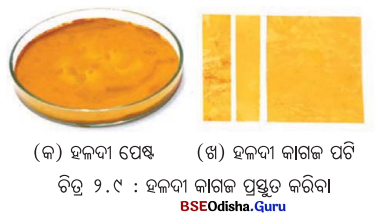 Class 7 Science Chapter 2 Notes Odia Medium ଅମ୍ଳୀୟ, କ୍ଷାରୀୟ ଓ ନିରପେକ୍ଷ ପଦାର୍ଥର ଅନୁସନ୍ଧାନ 9