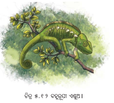 Class 7 Science Chapter 5 Question Answer Odia Medium ଆମ ଚତୁଃପାର୍ଶ୍ବରେ ଭୌତିକ ଓ ରାସାୟନିକ ପରିବର୍ତ୍ତନ 4