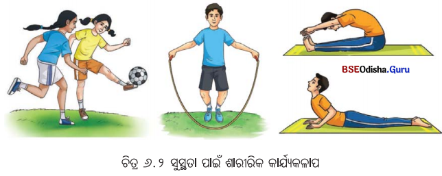 Class 7 Science Chapter 6 Notes Odia Medium କିଶୋରାବସୁ ବୃଦ୍ଧି ଓ ପରିବର୍ତ୍ତନ 6